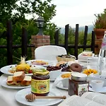 Il Vecchio Frantoio Stella Cilento
