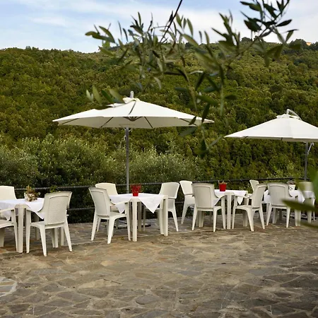 Il Vecchio Frantoio * Stella Cilento