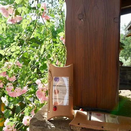Farm stay Il Vecchio Frantoio *