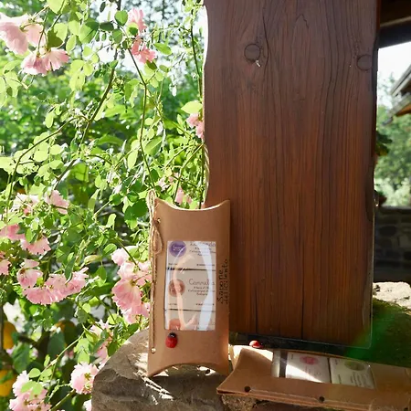 Farm stay Il Vecchio Frantoio *