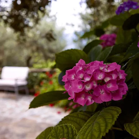 ファームステイ Il Vecchio Frantoio *