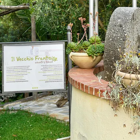Il Vecchio Frantoio ファームステイ *