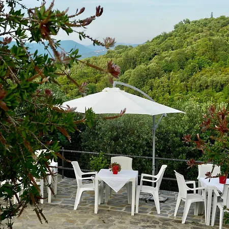 ファームステイ Il Vecchio Frantoio