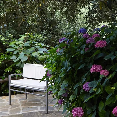 ファームステイ Il Vecchio Frantoio *