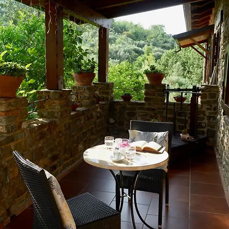 Il Vecchio Frantoio * Stella Cilento