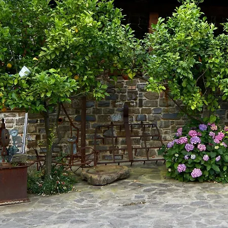 ファームステイ Il Vecchio Frantoio