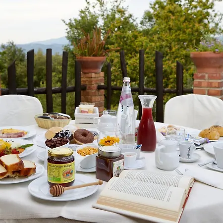 Il Vecchio Frantoio Farm stay *