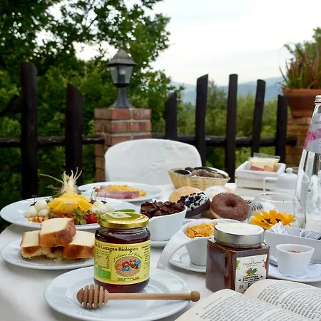 Il Vecchio Frantoio Stella Cilento