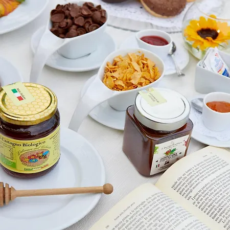 ファームステイ Il Vecchio Frantoio *