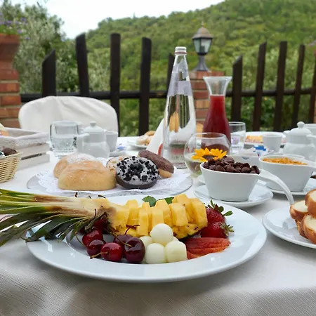 ファームステイ Il Vecchio Frantoio Stella Cilento