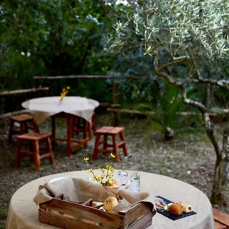 Farm stay Il Vecchio Frantoio