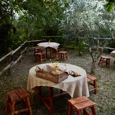 Il Vecchio Frantoio Stella Cilento