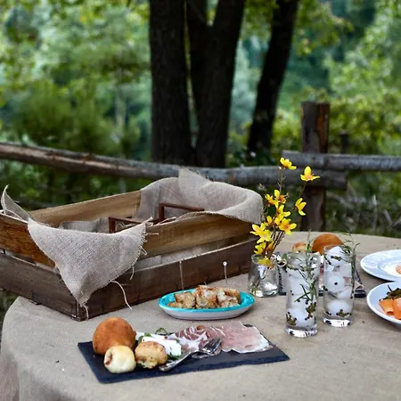 Il Vecchio Frantoio Farm stay