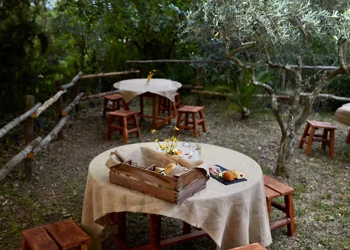 Il Vecchio Frantoio Stella Cilento